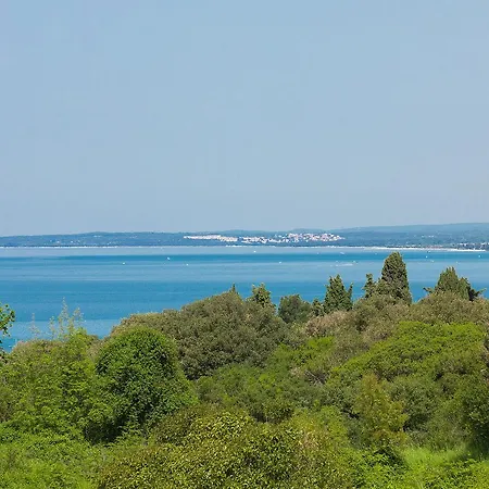Astinian Jadranka Пула